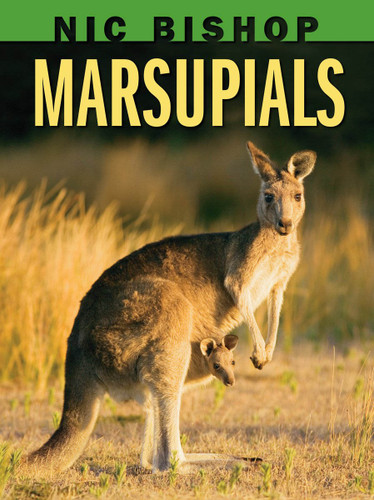 Nic Bishop: Marsupials book cover by Nic Bishop