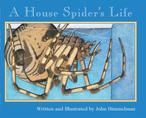 A House Spider's Life (Nature Upclose) (Nature Upclose) book cover by John Himmelman