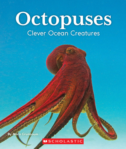 Octopuses: Clever Ocean Creatures (Nature's Children) (Nature's Children, Fourth Series) book cover by Mara Grunbaum