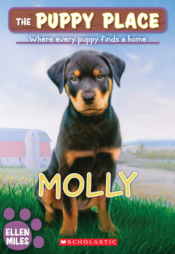 Molly (The Puppy Place #31) (The Puppy Place) book cover by Ellen Miles