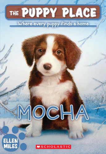 Mocha (The Puppy Place #29) (The Puppy Place) book cover by Ellen Miles