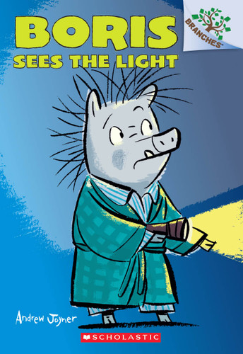 Boris Sees the Light: A Branches Book (Boris #4) (Boris) book cover by Andrew Joyner