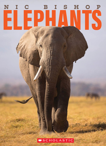 Nic Bishop Elephants book cover by Nic Bishop