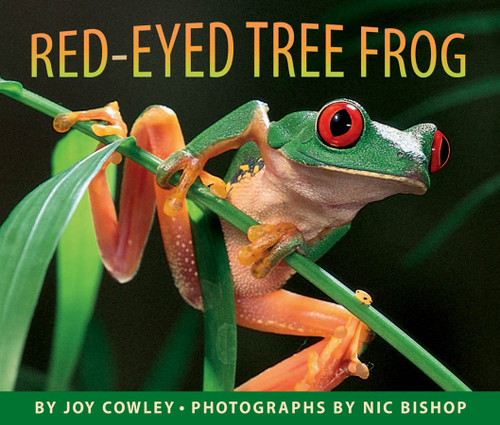 Red-eyed Tree Frog book cover by Joy Cowley