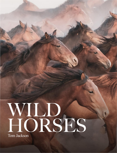 Wild Horses (Animals in Photographs) book cover by Tom Jackson