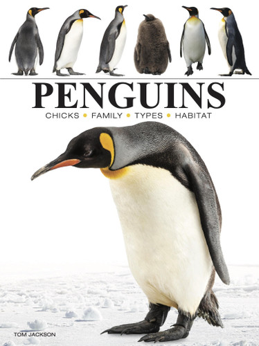 Penguins (Mini Encyclopedias) book cover by Tom Jackson