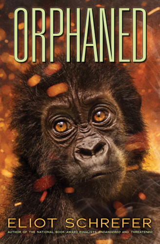 Orphaned (Ape Quartet #4) (Ape Quartet) book cover by Eliot Schrefer