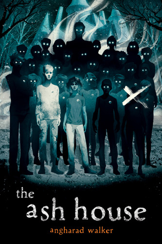 The Ash House book cover by Angharad Walker
