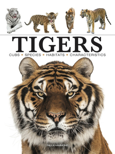 Tigers (Mini Encyclopedias) book cover by Paula Hammond
