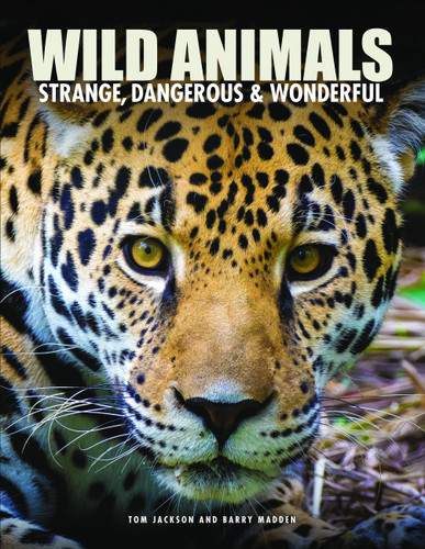 Wild Animals: Strange, Dangerous & Wonderful (Encyclopedias) book cover by Tom Jackson, Barry Madden