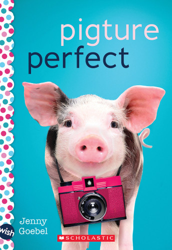 Pigture Perfect: A Wish Novel book cover by Jenny Goebel