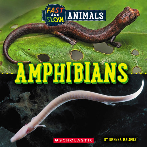 Amphibians (Wild World: Fast and Slow Animals) (Wild World) book cover by Brenna Maloney