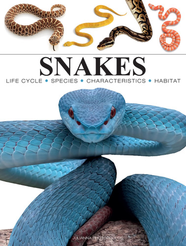 Snakes: From Vipers to Boa Constrictors (Mini Encyclopedias) book cover by Julianna Photopoulos