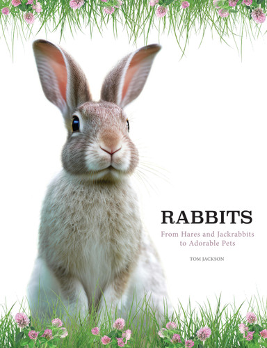 Rabbits: From Hares and Jackrabbits to Adorable Pets book cover by Tom Jackson