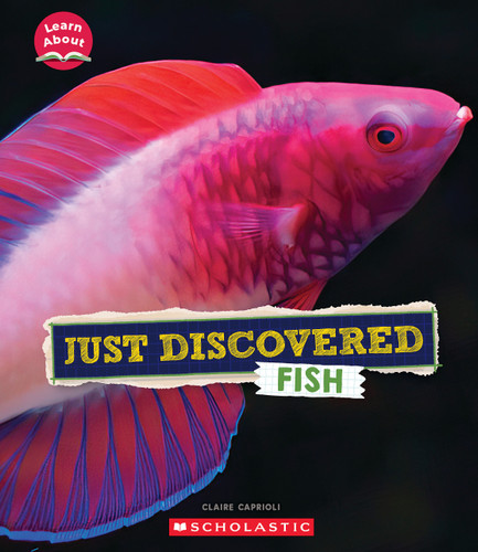 Just Discovered Fish (Learn About: Animals) (Learn About) book cover by Claire Caprioli