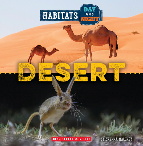 Desert (Wild World: Habitats Day and Night) (Wild World) book cover by Brenna Maloney