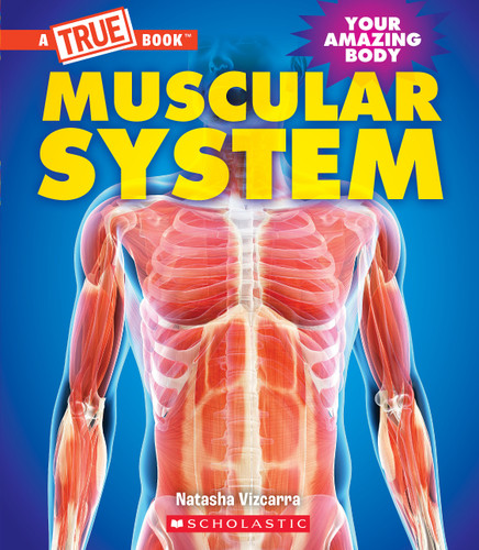 Muscular System (A True Book: Your Amazing Body) (A True Book) book cover by Natasha Vizcarra