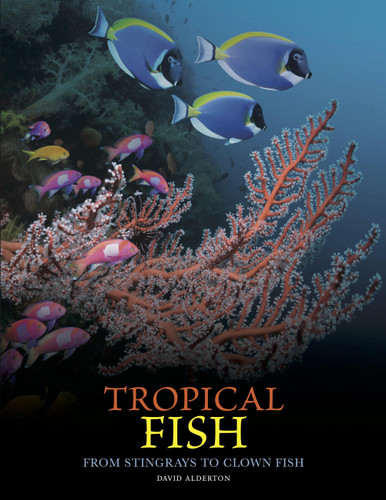 Tropical Fish: From Stingrays to Clown Fish (Animals in Photographs) book cover by David Alderton