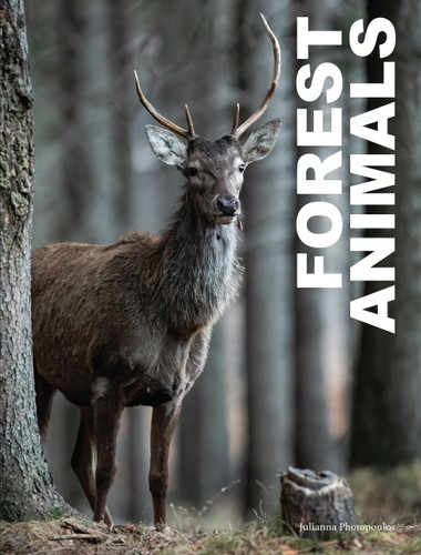 Forest Animals (Animals in Photographs) book cover by Julianna Photopoulos