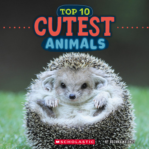 Cutest Animals (Wild World: Top 10) (Wild World) book cover by Brenna Maloney
