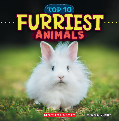 Furriest Animals (Wild World: Top 10) (Wild World) book cover by Brenna Maloney