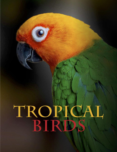 Tropical Birds (Animals in Photographs) book cover by Tom Jackson
