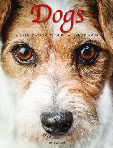 Dogs: A Celebration of our Canine Friends (Animals in Photographs) book cover by Tom Jackson