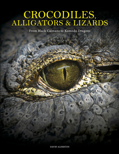 Crocodiles, Alligators & Lizards: From Black Caimans to Komodo Dragons (Animals in Photographs) book cover by David Alderton