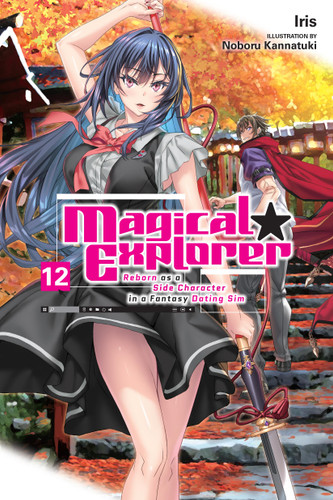 Magical Explorer, Vol. 12 (light novel) (Magical Explorer (light novel) #12) book cover by Iris