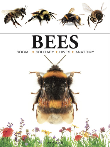 Bees: Heroes of the Garden (Mini Encyclopedias) book cover by Tom Jackson