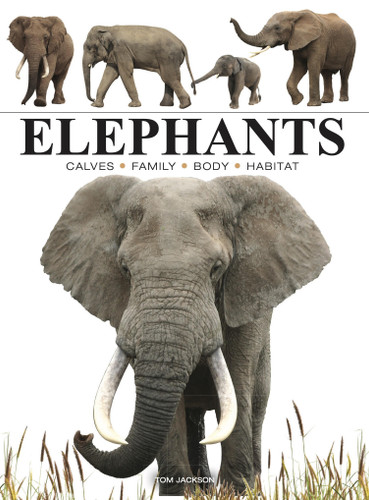 Elephants (Mini Encyclopedias) book cover by Tom Jackson