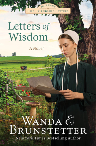 Letters of Wisdom: Friendship Letters #3 (Friendship Letters) book cover by Wanda E. Brunstetter