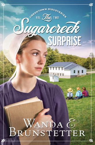 The Sugarcreek Surprise (Creektown Discoveries) book cover by Wanda E. Brunstetter
