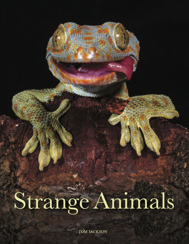 Strange Animals (Animals in Photographs) book cover by Tom Jackson