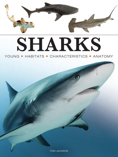 Sharks & Underwater Predators (Mini Encyclopedias) book cover by Tom Jackson