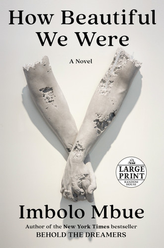 How Beautiful We Were: A Novel book cover by Imbolo Mbue