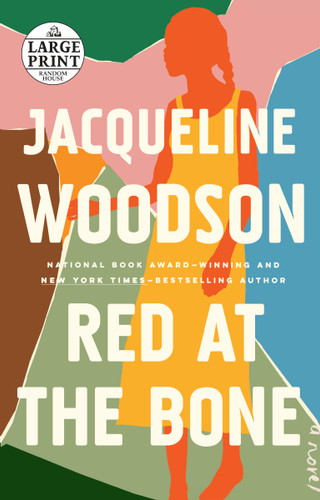 Red at the Bone: A Novel book cover by Jacqueline Woodson