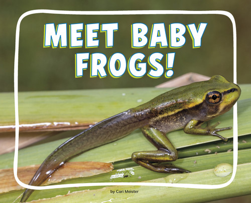 Meet Baby Frogs! (Knowledge Builders: Adorable Baby Animals) book cover by Cari Meister