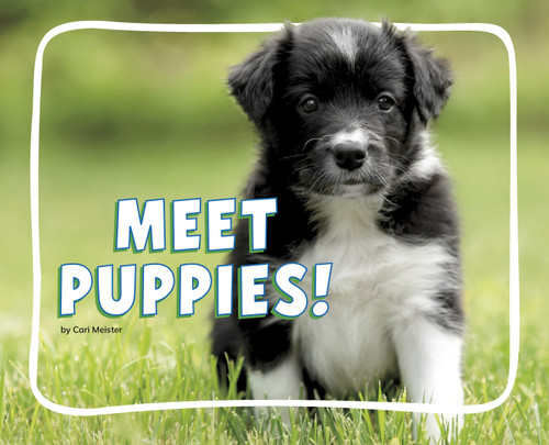Meet Puppies! (Knowledge Builders: Adorable Baby Animals) book cover by Cari Meister
