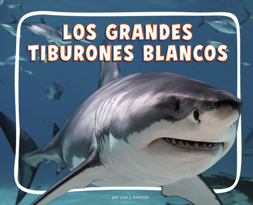 Los grandes tiburones blancos (Great White Sharks) (Knowledge Builders: Animales del océano (Ocean Animals)) book cover by Lisa J. Amstutz