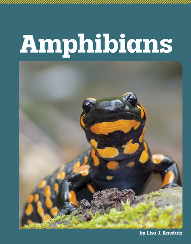 Amphibians (All About Animal Classification) book cover by Lisa J. Amstutz