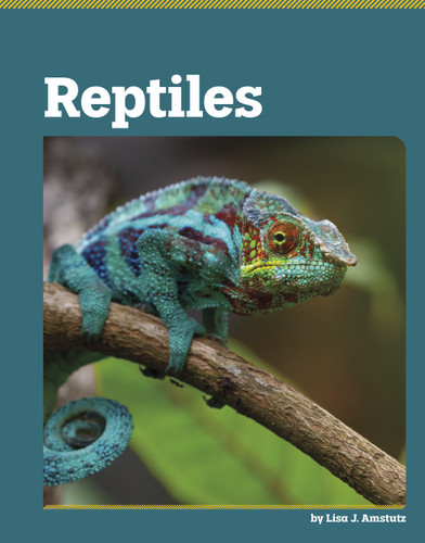 Reptiles (All About Animal Classification) book cover by Lisa J. Amstutz