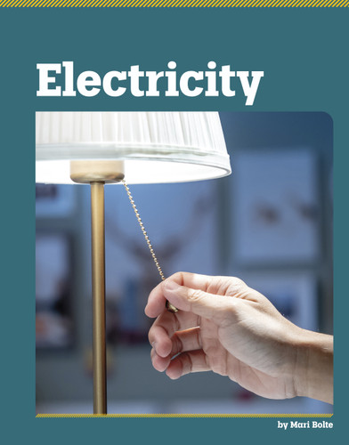 Electricity (The Basics of Physics) book cover by Mari Bolte