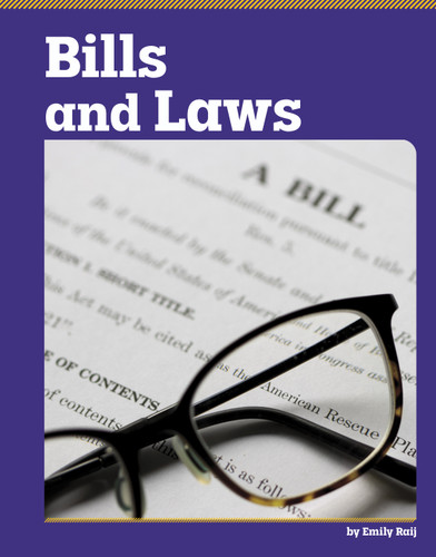 Bills and Laws (Foundations of U.S. Government) book cover by Emily Raij