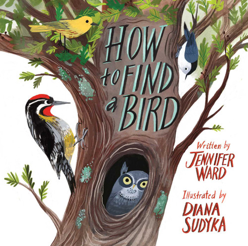 How to Find a Bird book cover by Jennifer Ward