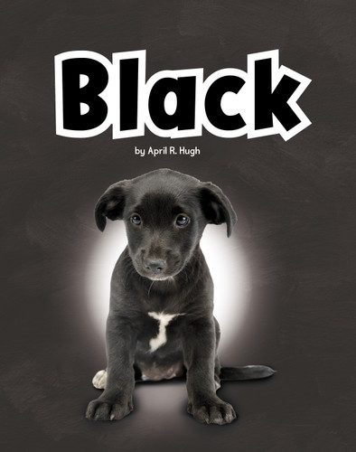 Black (Colors in Your World) book cover by April R. Hugh