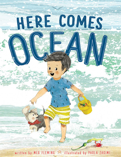 Here Comes Ocean book cover by Meg Fleming