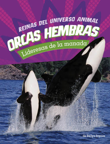 Orcas hembras: Lideresas de la manada (Orca Cows: Leaders of the Pod) (Reinas del universo animal (Queens of the Animal Universe)) book cover by Jaclyn Jaycox