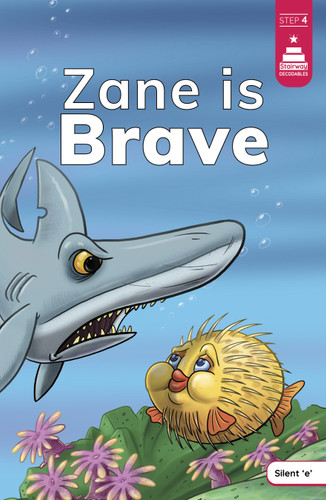Zane is Brave (Stairway Decodables Step 4) book cover by Leanna Koch