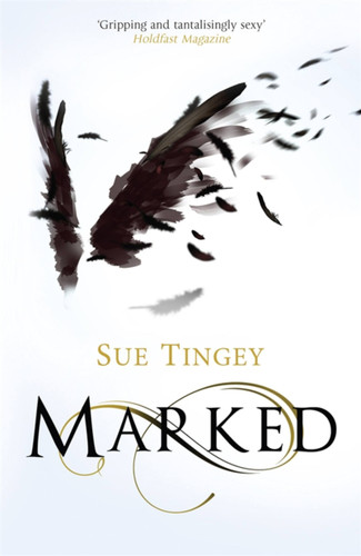 Marked: A dark romantasy of angels, demons and the Underlands (The Soulseer Chronicles) book cover by Sue Tingey